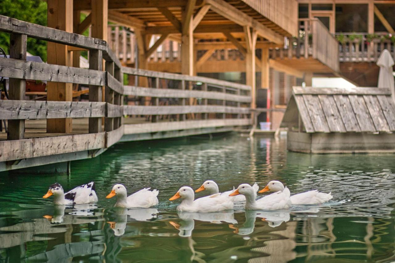 Slovenia Eco Resort Stahovica ภายนอก รูปภาพ