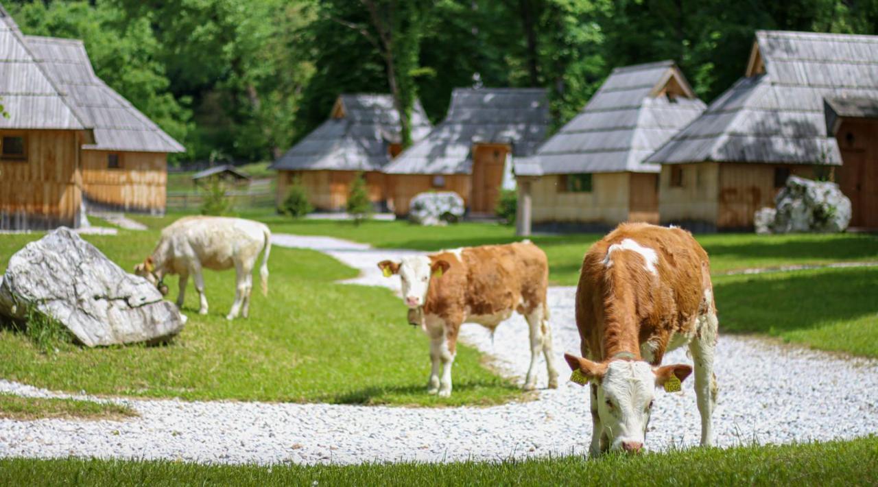 Slovenia Eco Resort Stahovica ภายนอก รูปภาพ