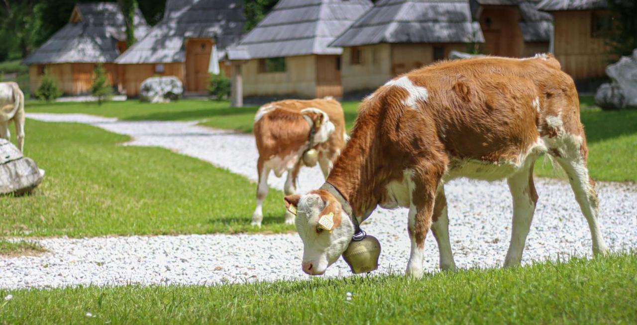 Slovenia Eco Resort Stahovica ภายนอก รูปภาพ