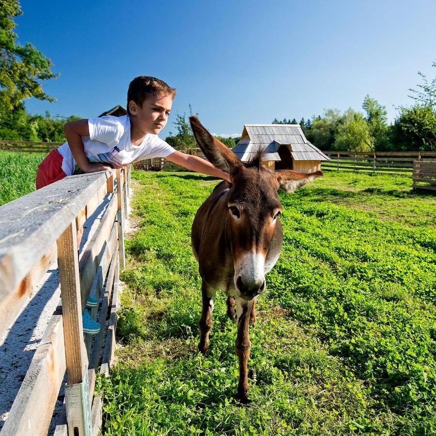 Slovenia Eco Resort Stahovica ภายนอก รูปภาพ